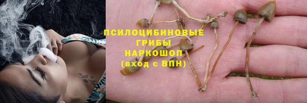 СК Володарск