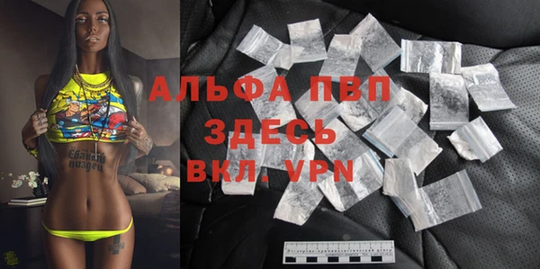 скорость Вяземский